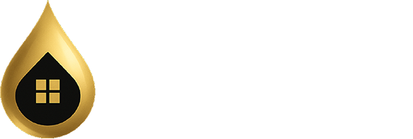 Damp & Roofing
